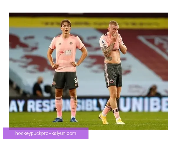 谢菲联英冠冠军荣耀回顾：辉煌时刻依旧闪耀，未来挑战值得关注