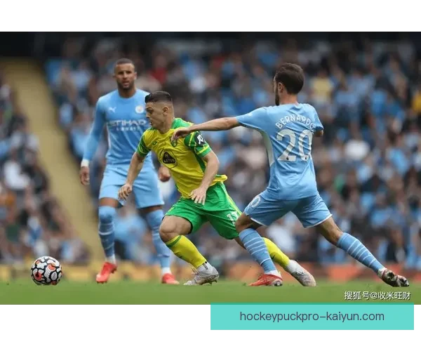 诺维奇金丝雀状态回暖，近期表现值得关注